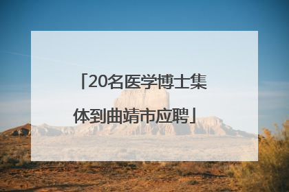 20名医学博士集体到曲靖市应聘