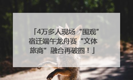 4万多人现场“围观” 宿迁端午龙舟赛“文体旅商”融合再破圈！