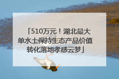 510万元！湖北最大单水土保持生态产品价值转化落地孝感云梦