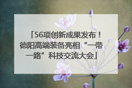 56项创新成果发布！德阳高端装备亮相“一带一路”科技交流大会