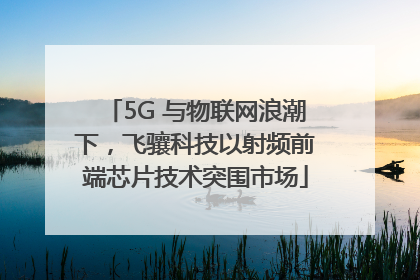 5G 与物联网浪潮下，飞骧科技以射频前端芯片技术突围市场