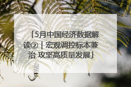 5月中国经济数据解读②｜宏观调控标本兼治 攻坚高质量发展