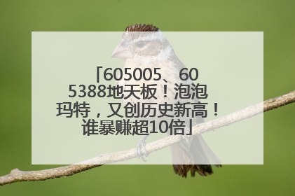 605005、605388地天板！泡泡玛特，又创历史新高！谁暴赚超10倍