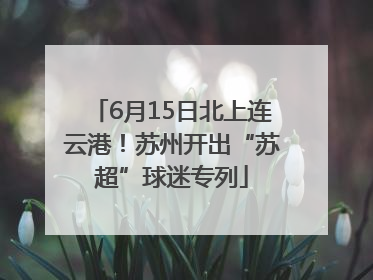 6月15日北上连云港！苏州开出“苏超”球迷专列