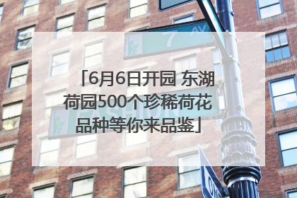6月6日开园 东湖荷园500个珍稀荷花品种等你来品鉴