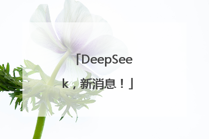 DeepSeek，新消息！
