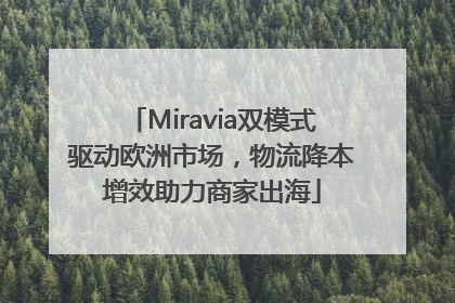 Miravia双模式驱动欧洲市场，物流降本增效助力商家出海