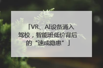 VR、AI设备涌入驾校，智能班低价背后的“速成隐患”